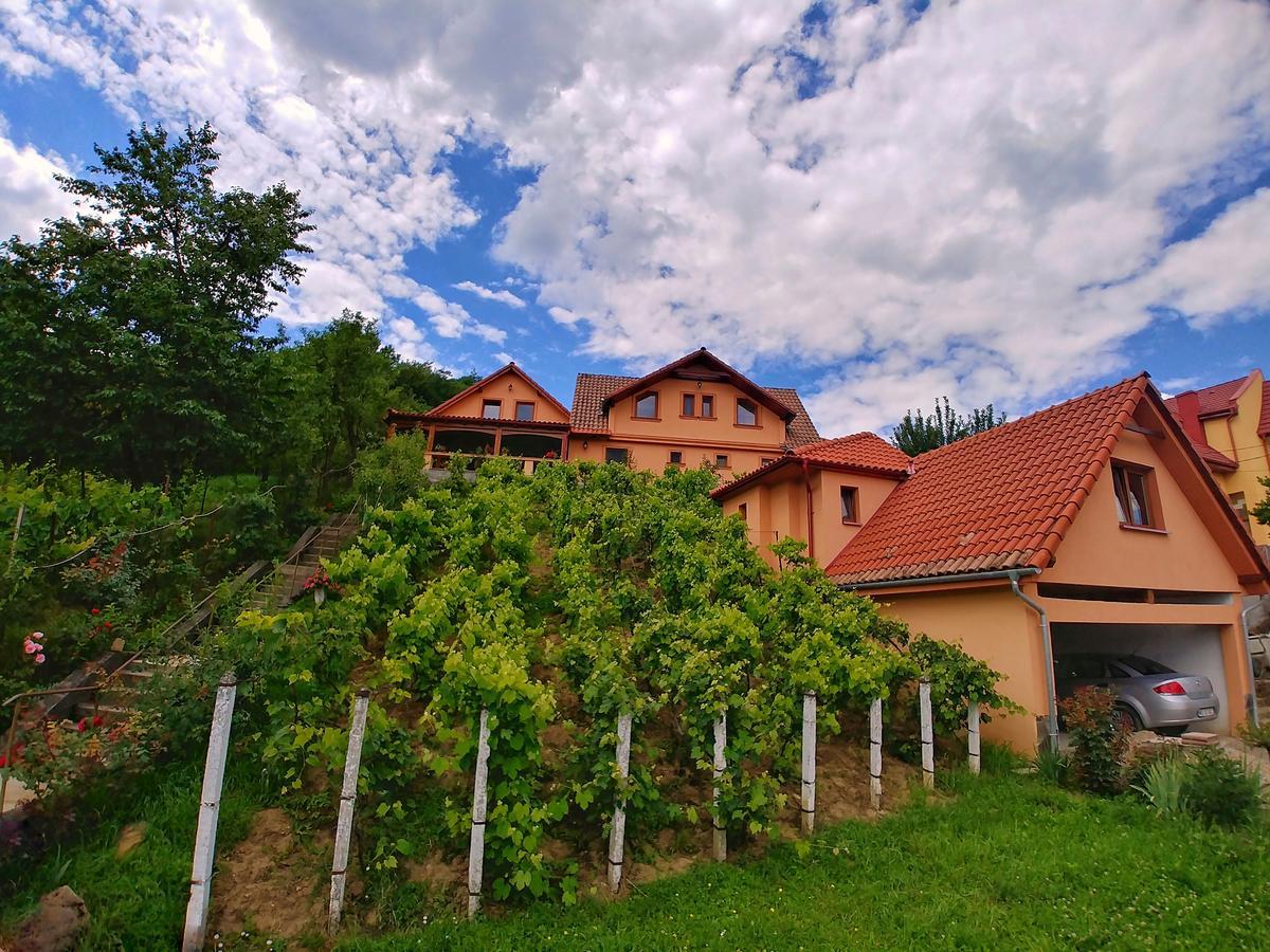 Hotel Casa Adam Sighişoara Esterno foto